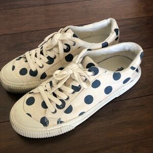 [Madewell] Sidewalk Low-Top Sneakers in Polka Dot